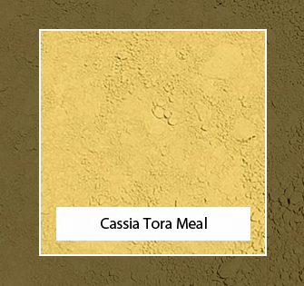 cassia tora meal